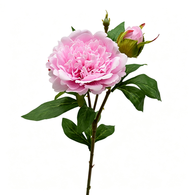 Künstliche Pfingstrose, 67 cm hoch, 2 Blüten, 12 cm Durchmesser, für Wohnraumdekoration, Hochzeiten, Einzelhandel