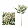 Künstliche Nandina-Beeren, 40 cm, Mischmaterial, Dekoration für Hochzeiten, Trauerfeiern und Einrichtungen