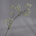 Künstliche Maulsbeere (Morus) Single Stem, 80 cm, weiß-grün, plastik, für Floristik, Hochzeiten, Dekoration