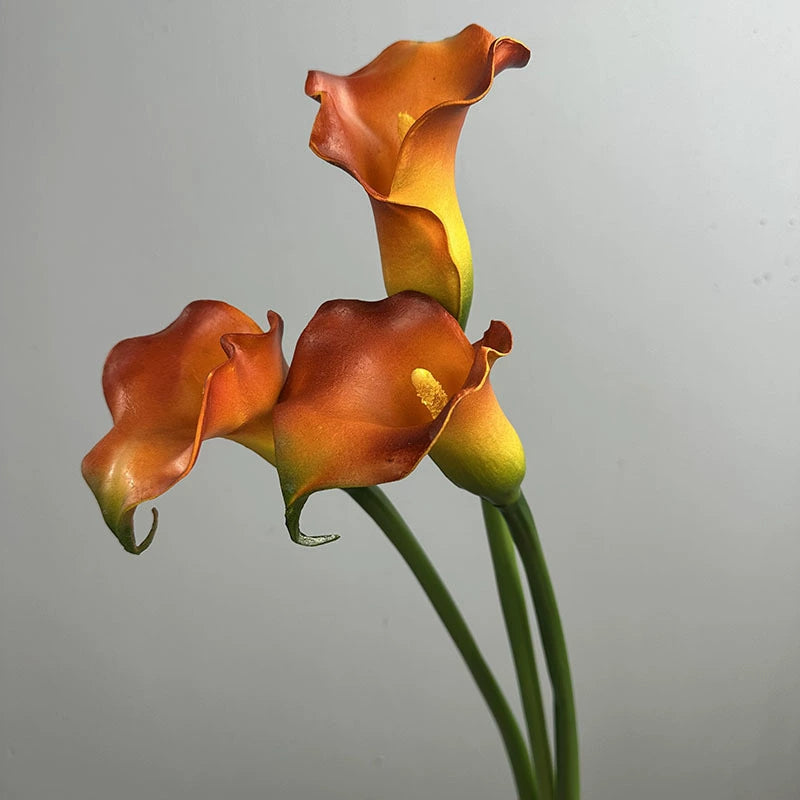 Künstliche Calla-Lilie aus PU, 68 cm, einzelner Stiel, realistisch, für Hochzeiten, Geschäftsräume und Wohnaccessoires, 4 Farben
