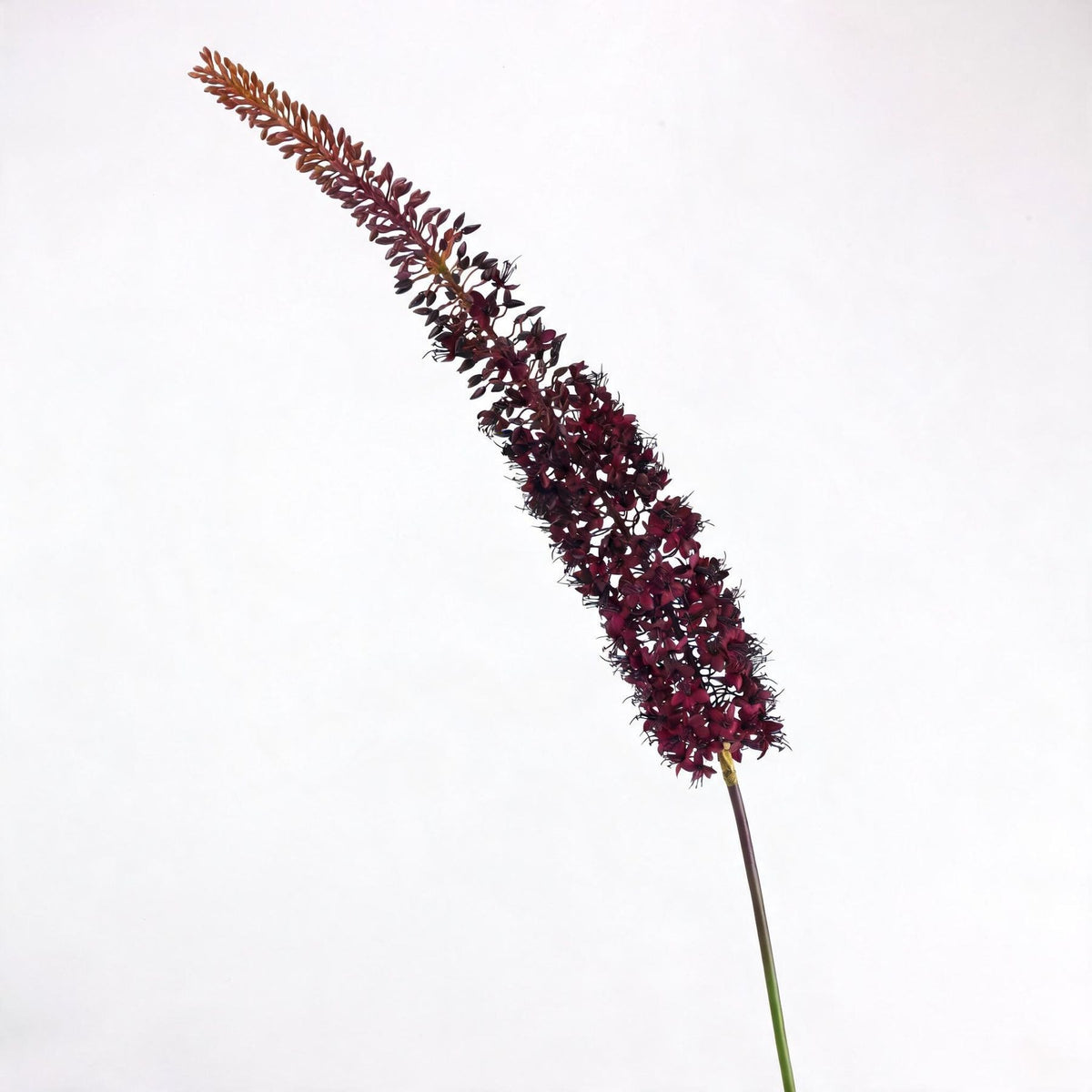 Künstliche Fuchs-Schwanzblume 105 cm, Seidenblume, single Stem für Hochzeit, Dekoration, Innenraum, Grabfloristik
