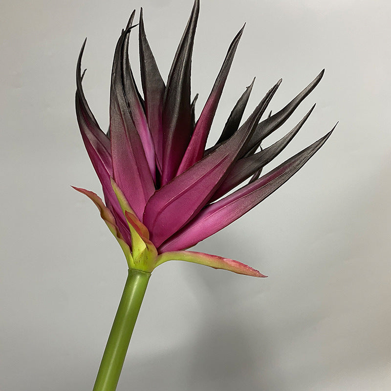 Künstliche Phoenix-Blume, 85 cm, Latex-Material, Schwarz-Lila, Orange-Rot, Weinrot, für Büro, Hotel, Schaufensterdekoration