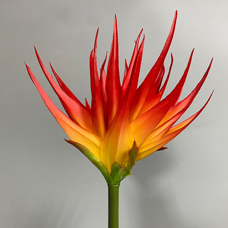 Künstliche Phoenix-Blume, 85 cm, Latex-Material, Schwarz-Lila, Orange-Rot, Weinrot, für Büro, Hotel, Schaufensterdekoration
