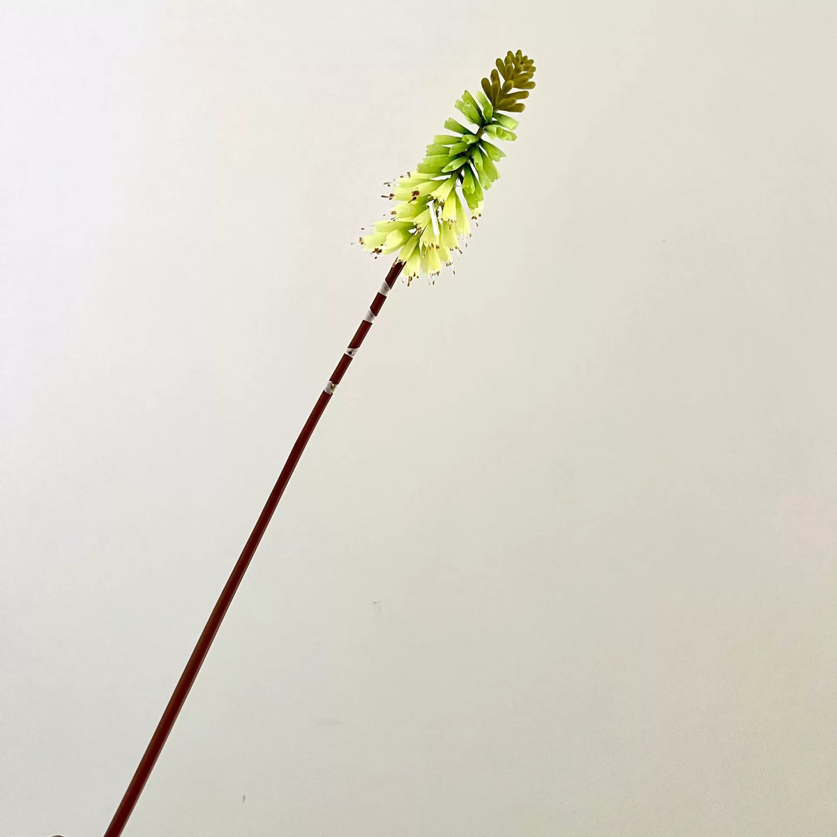 Künstliche Fackellilie, 70 cm, Seidenstoff, Einzelstiel, für Zuhause, Hotel und Dekoration