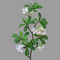 Künstliche Seidenblume Pittosporum (Scheinbeere) – 78 cm Einzelstiel mit 15 Blüten – Modernes Dekoelement für Innenraum, Schaufenster, Hochzeit, Event, Hotel