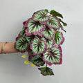 Einzelner Begonienblatt-Zweig, 30 cm, Kunststoff (PE/PVC), für Zuhause und Gewerbe