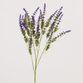 Künstliche Lavendel-Büsche, 24 Blüten, 66 cm Höhe, aus haltbarem Kunststoff für Hochzeiten, Innenraumdekoration und Gewerbe