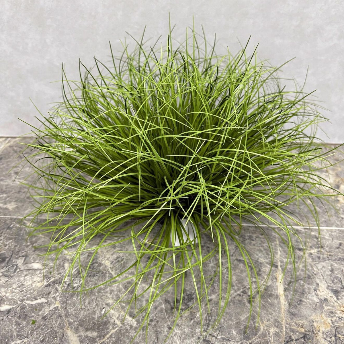Künstliche Binsen-Busch Dekoration, 30 cm hoch, für Wohnung, Büro und Veranstaltungen