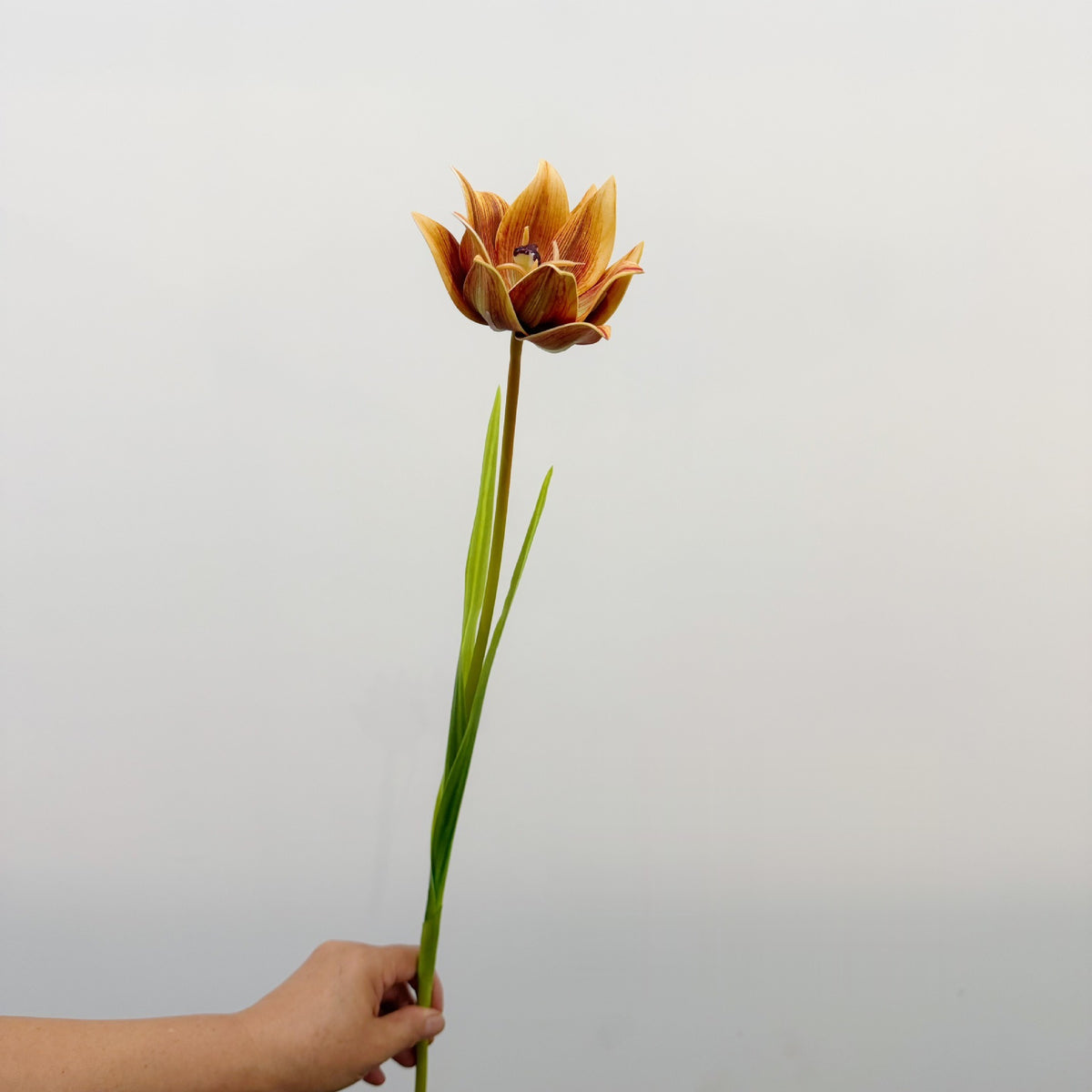 Künstliche Tulpe, einzelner Stängel mit 1 Blüte, 69 cm hoch, EVA-Material, für Hochzeiten, Wohnaccessoires und Gewerberäume