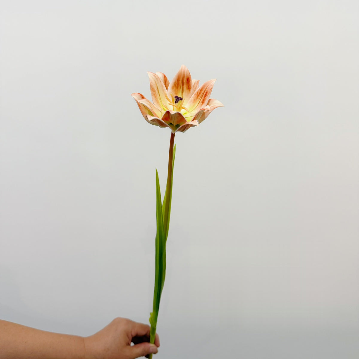 Künstliche Tulpe, einzelner Stängel mit 1 Blüte, 69 cm hoch, EVA-Material, für Hochzeiten, Wohnaccessoires und Gewerberäume