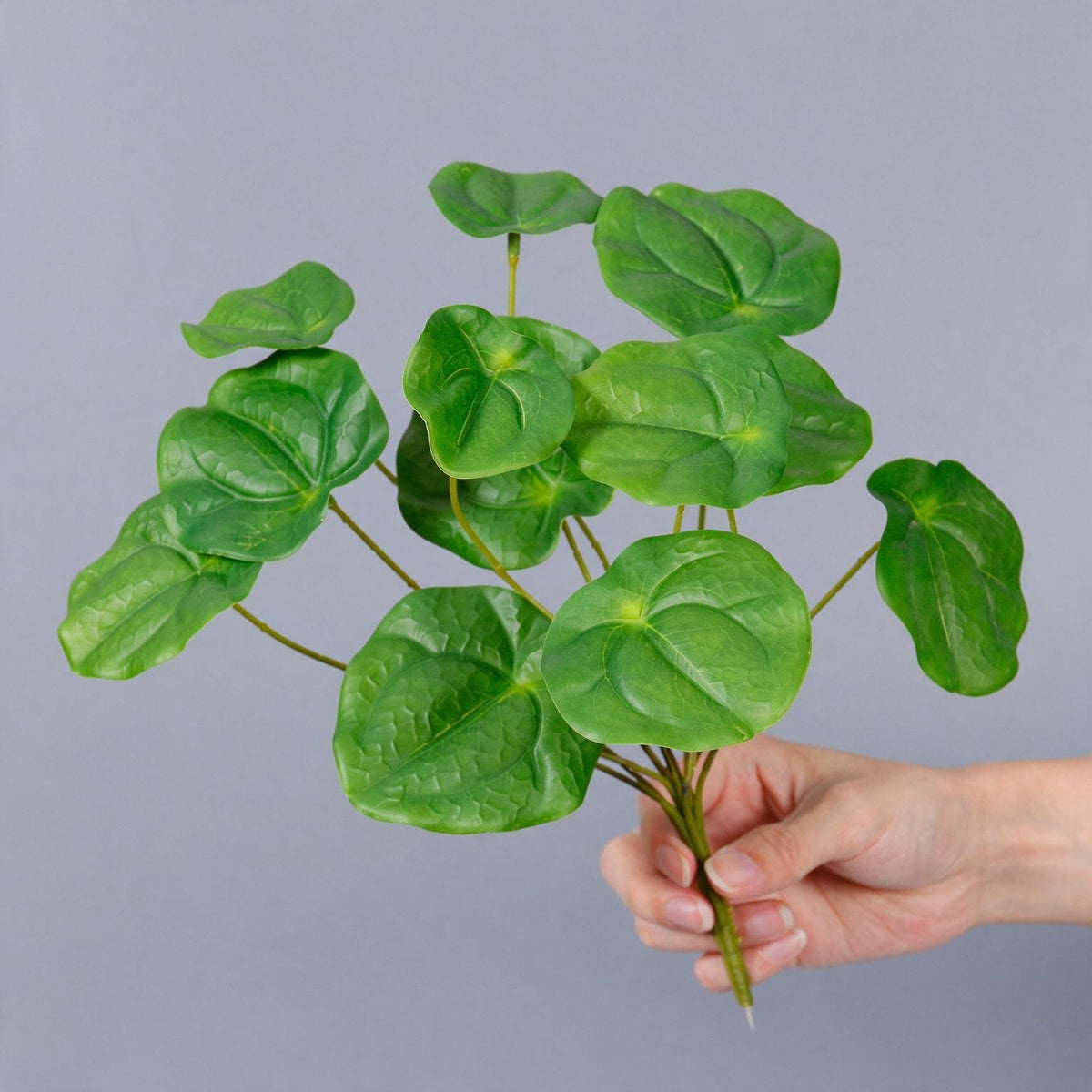 Künstliche Spiegelblatt-Pflanze Kunststoff, Bush mit 12 Zweigen, 30 cm, für Floristik, Hotel und Hochzeit