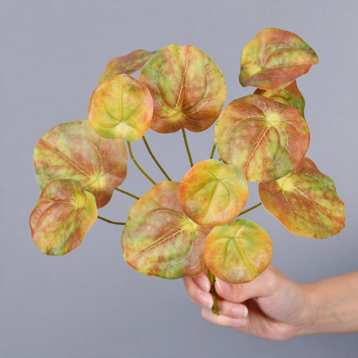 Künstliche Spiegelblatt-Pflanze Kunststoff, Bush mit 12 Zweigen, 30 cm, für Floristik, Hotel und Hochzeit