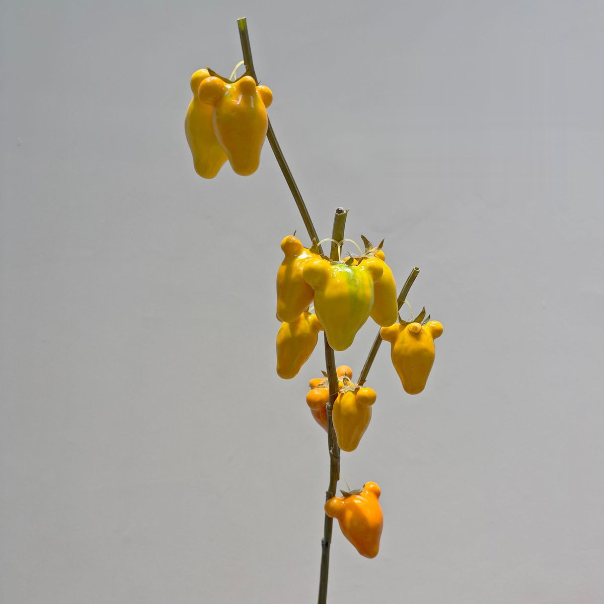 Kunstpflanze Goldfrucht-Bündel, Kunststoff, 10 Früchte, 70 cm, für Hochzeit, Hotel und Heimdekoration