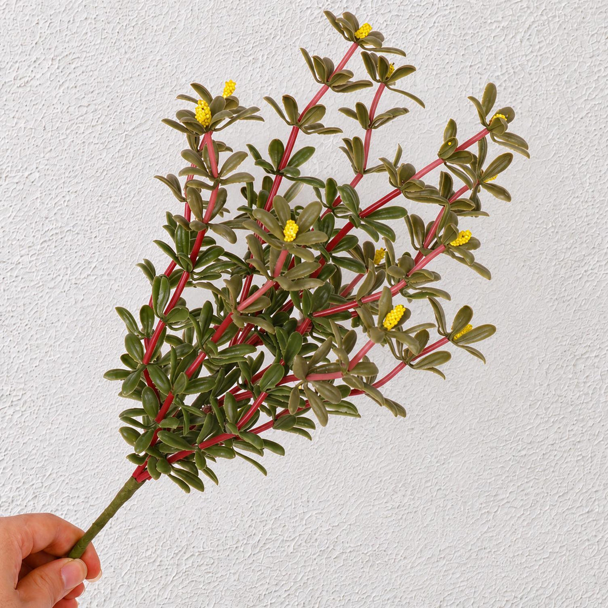 Künstliche Portulak-Pflanze (Bush) mit Stielen, Kunststoff PE/PVC, 34 cm, für Hochzeit, Schaufenster und Raumdekoration