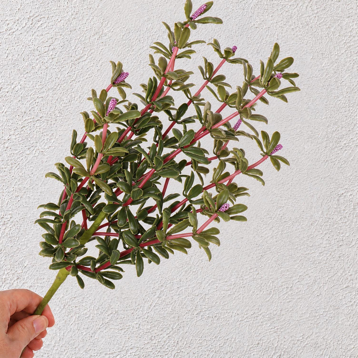 Künstliche Portulak-Pflanze (Bush) mit Stielen, Kunststoff PE/PVC, 34 cm, für Hochzeit, Schaufenster und Raumdekoration