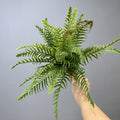 33 cm künstliche Farne – für Landschaftsgestaltung und Gartendekoration