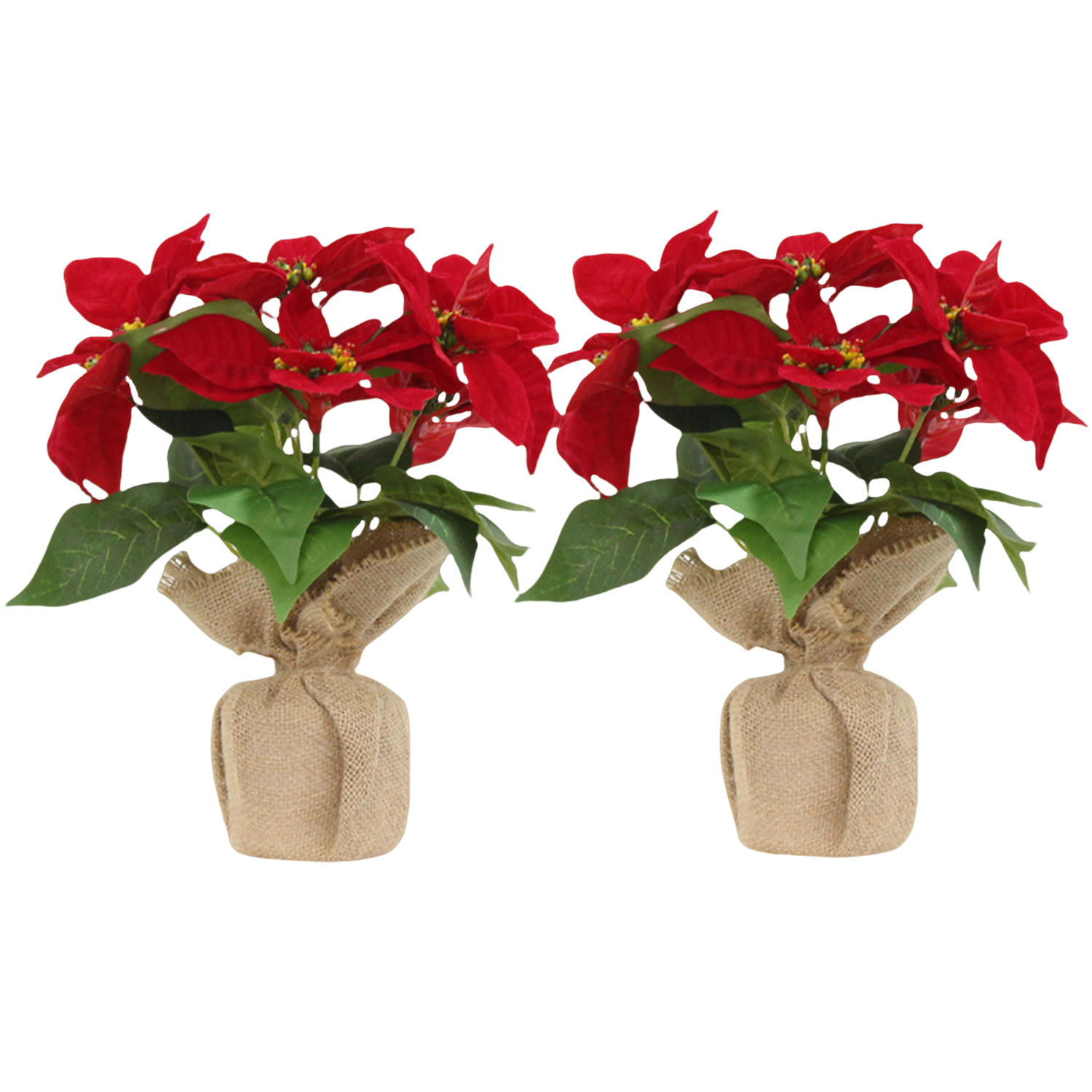 2 Stück Weihnachtsstern künstlich Fenster naturgetreu Weihnachten Dekoration Weihnachtsdeko