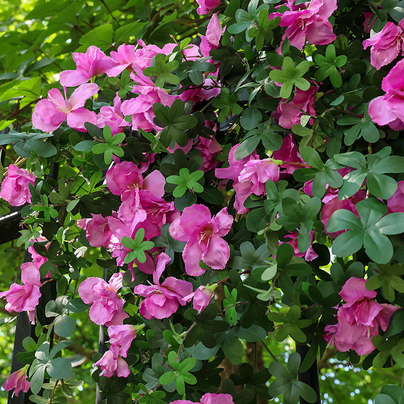 2er Pack Künstliche Azaleen Hängepflanzen, UV-beständig 84cm, Kunstblumen für Balkonkasten & Terrasse, Wetterfest