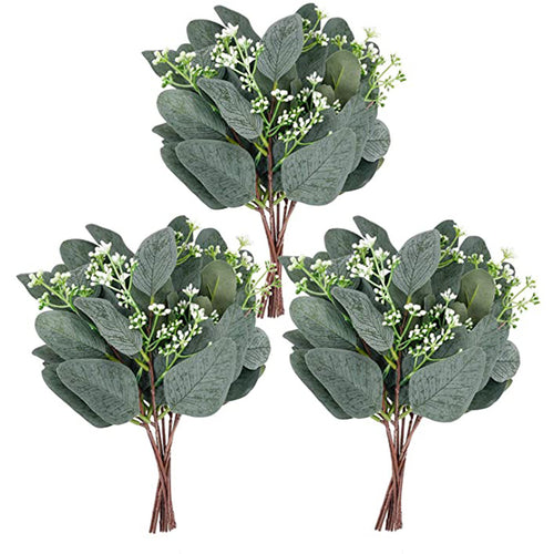 20 Stück 30 cm hohes Pappel-Eukalyptus-Bukett mit Samenkörnern