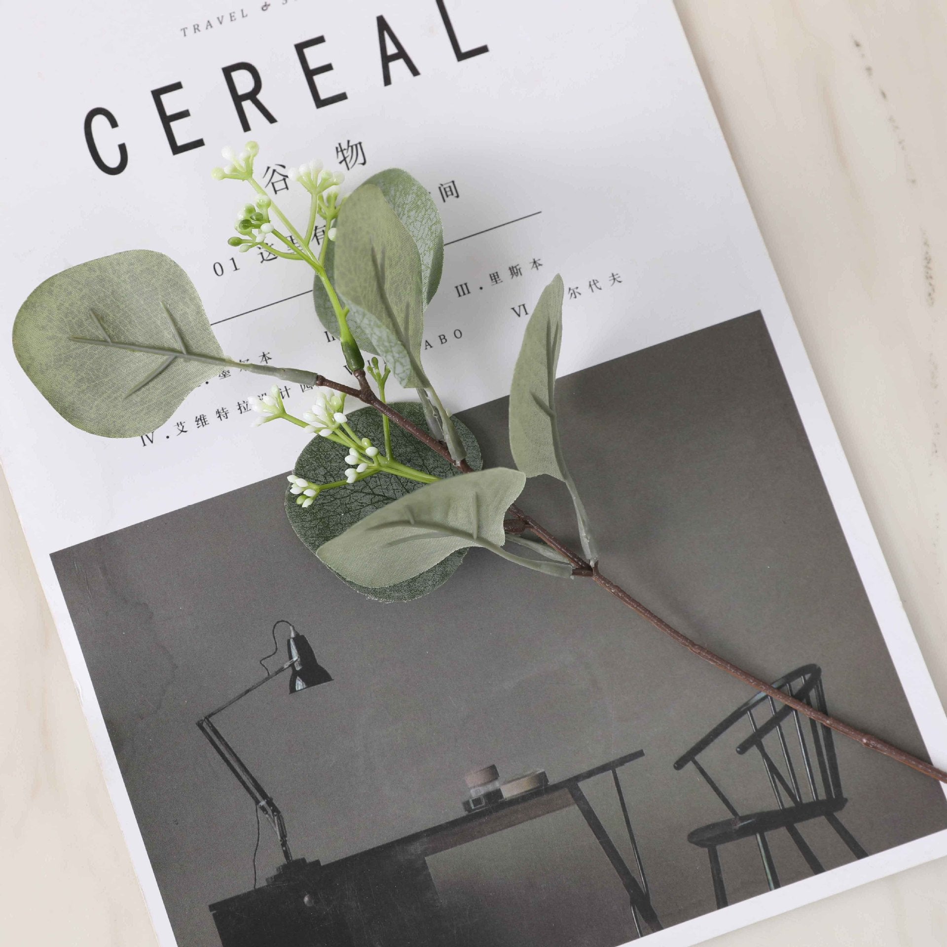 20 Stück 30 cm hohes Pappel-Eukalyptus-Bukett mit Samenkörnern