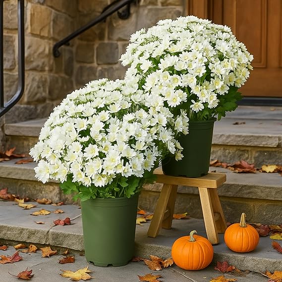 10 Bündel Draußen liegende künstliche Chrysanthemen mit UV-Schutz Außenblumen