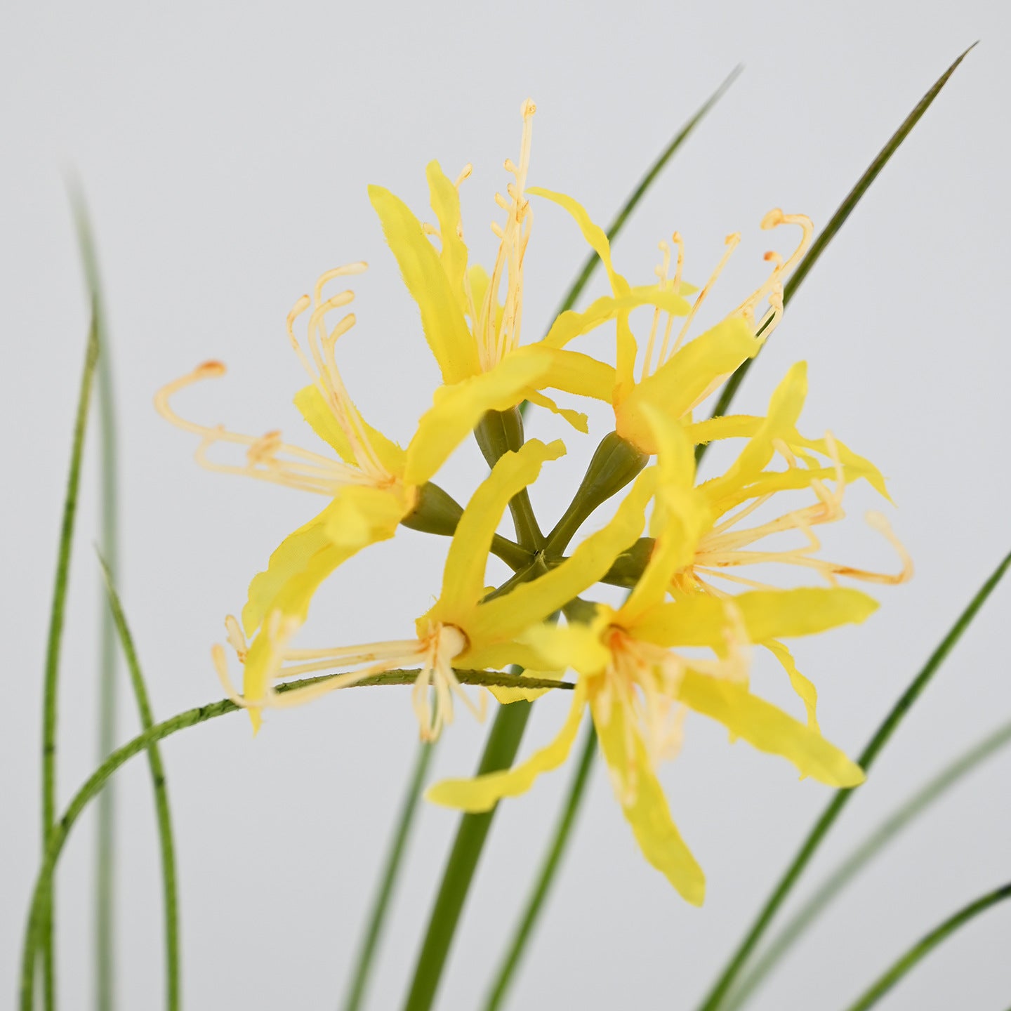 56 cm Künstliche Lycoris-Blume realistisch & pflegeleicht für Vase oder Dekoration