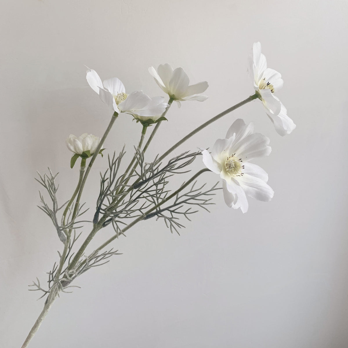 Künstliche Kosmos Blumen