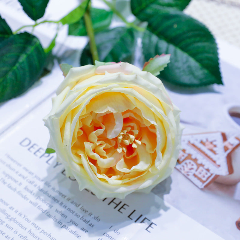 60 cm Künstliche Rosen mit Realistischem Griff & Feuchtem Finish