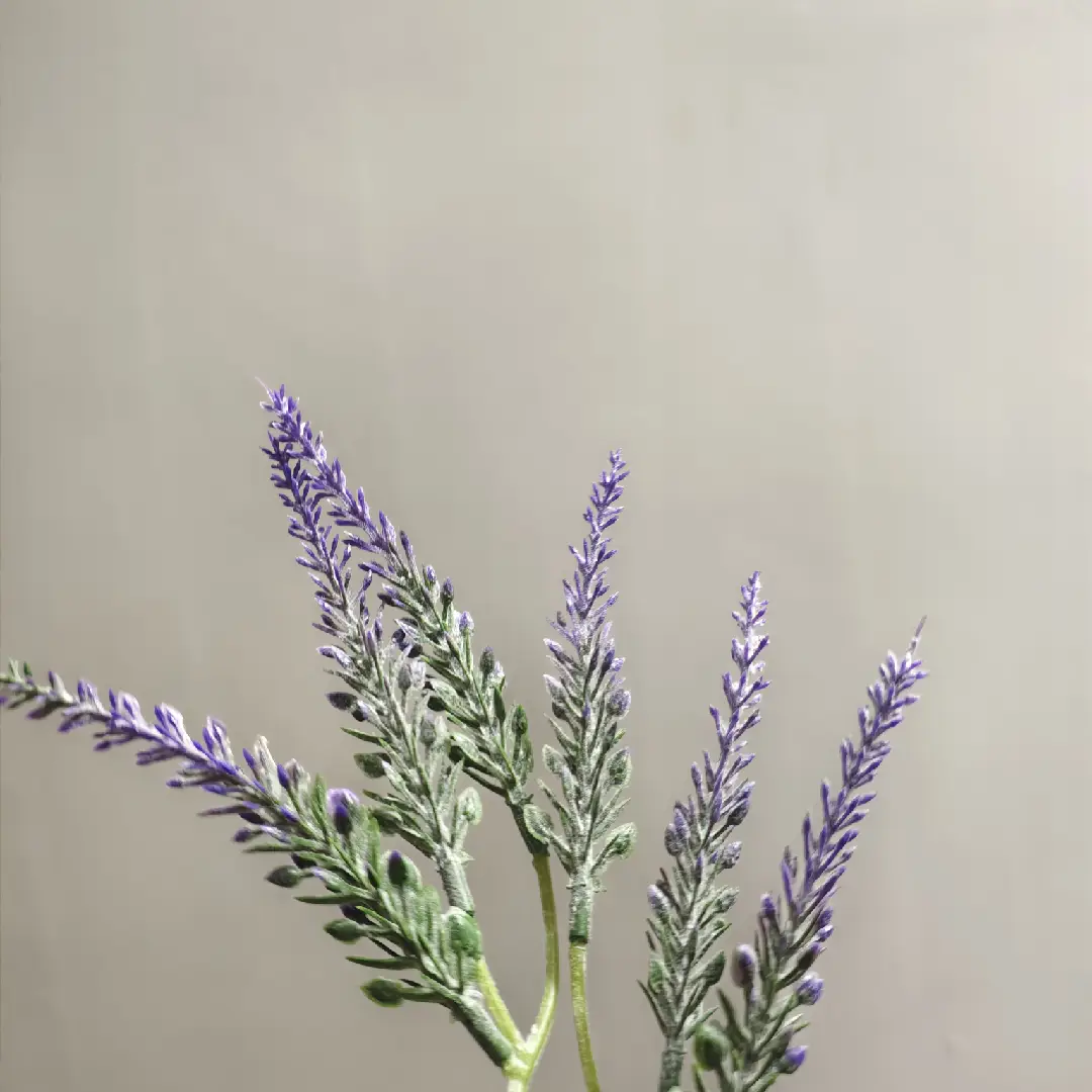 Restposten 35 cm Künstlicher Lavendelzweig – Beflockter Kunst-Lavendel aus Kunststoff