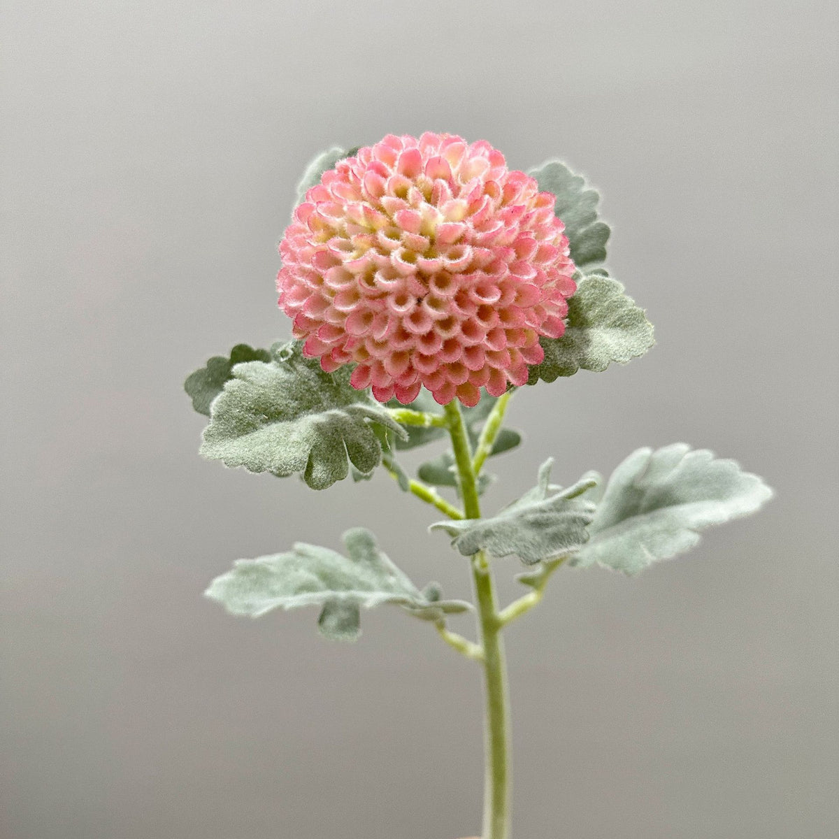 Künstliche Chrysantheme, Single-Stem mit 7 cm Blütenkopf, 37 cm hoch, Flockstoff, für Hochzeitsdekoration und Inneneinrichtung