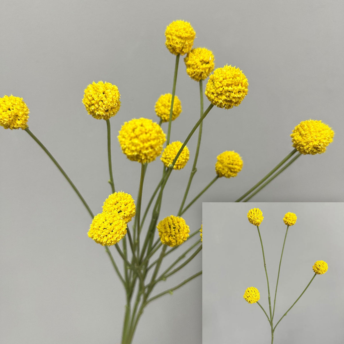 Kunstblume Craspedia (Goldkugel), Busch mit 4 Blütenköpfen, Kunststoff, für Hochzeit, Hotel und Wohnraum-Deko