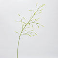 Künstliche Lavendel-Polygonum-Blume, einzelner Stängel, 123 cm, für Hochzeitsdekoration und Inneneinrichtung