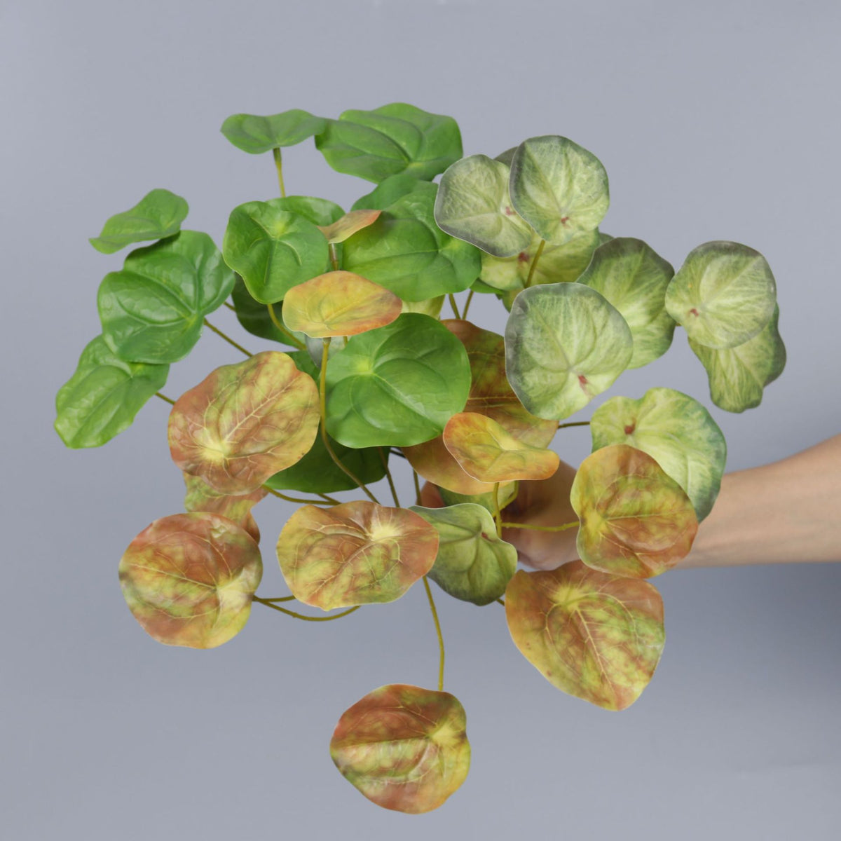 Künstliche Spiegelblatt-Pflanze Kunststoff, Bush mit 12 Zweigen, 30 cm, für Floristik, Hotel und Hochzeit
