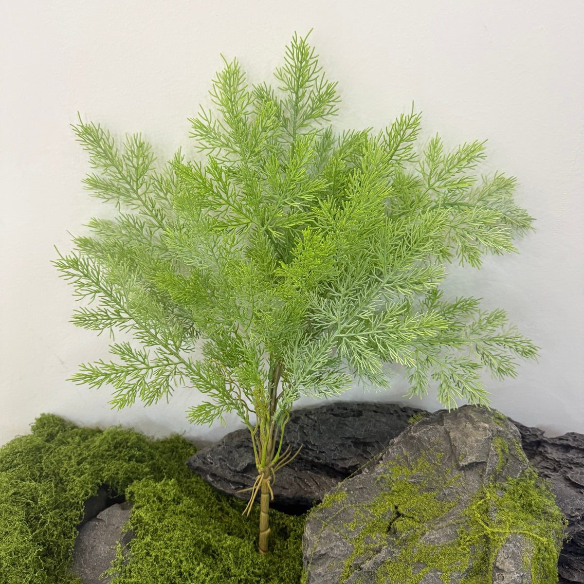 Kunstpflanze Asparagus Plumosus (Zierspargel), Busch mit 60 cm Höhe, Kunststoff PE/PVC, für Dekoration und Schaufenster