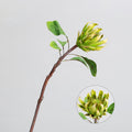 Künstliche Protea Blüte, einzelner Stiel mit 1 Blütenkopf, 63 cm hoch, aus seidenähnlichem Polyester, für Hochzeitsdekoration und Inneneinrichtung