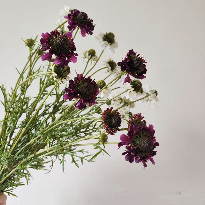 Künstliche Gänseblümchen & Orchideen Busch, 74 cm Höhe, Seidenstoff-Blumen für Zuhause