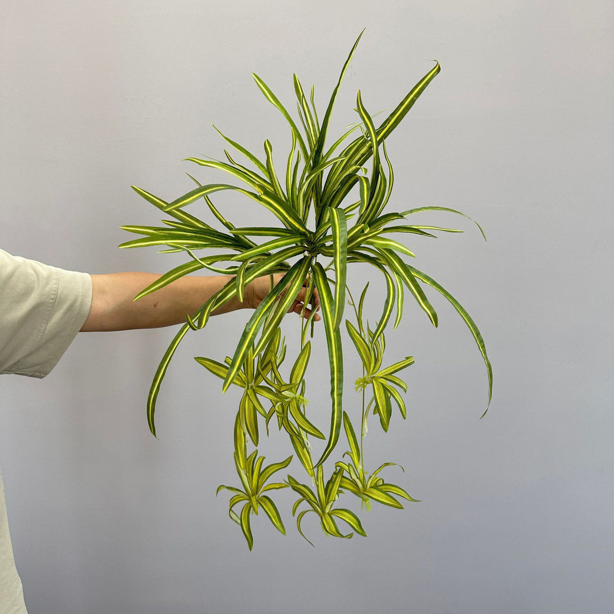 Künstliche Hängepflanze, Grünlilie, 65 cm Höhe, 40 flexible Stiele, für Wohnung, Büro und Events