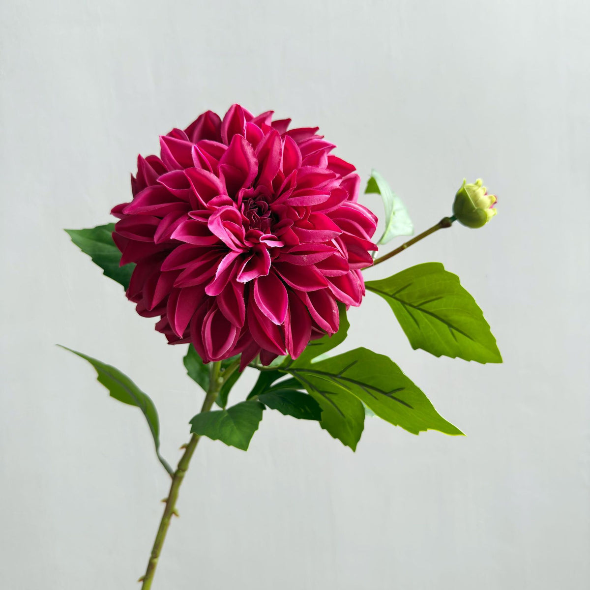Künstliche Dahlien & Gänseblümchen, 66 cm hoch, 2 Blütenköpfe à 14 cm, aus seidenartigem Polyesterstoff, für Innendekoration