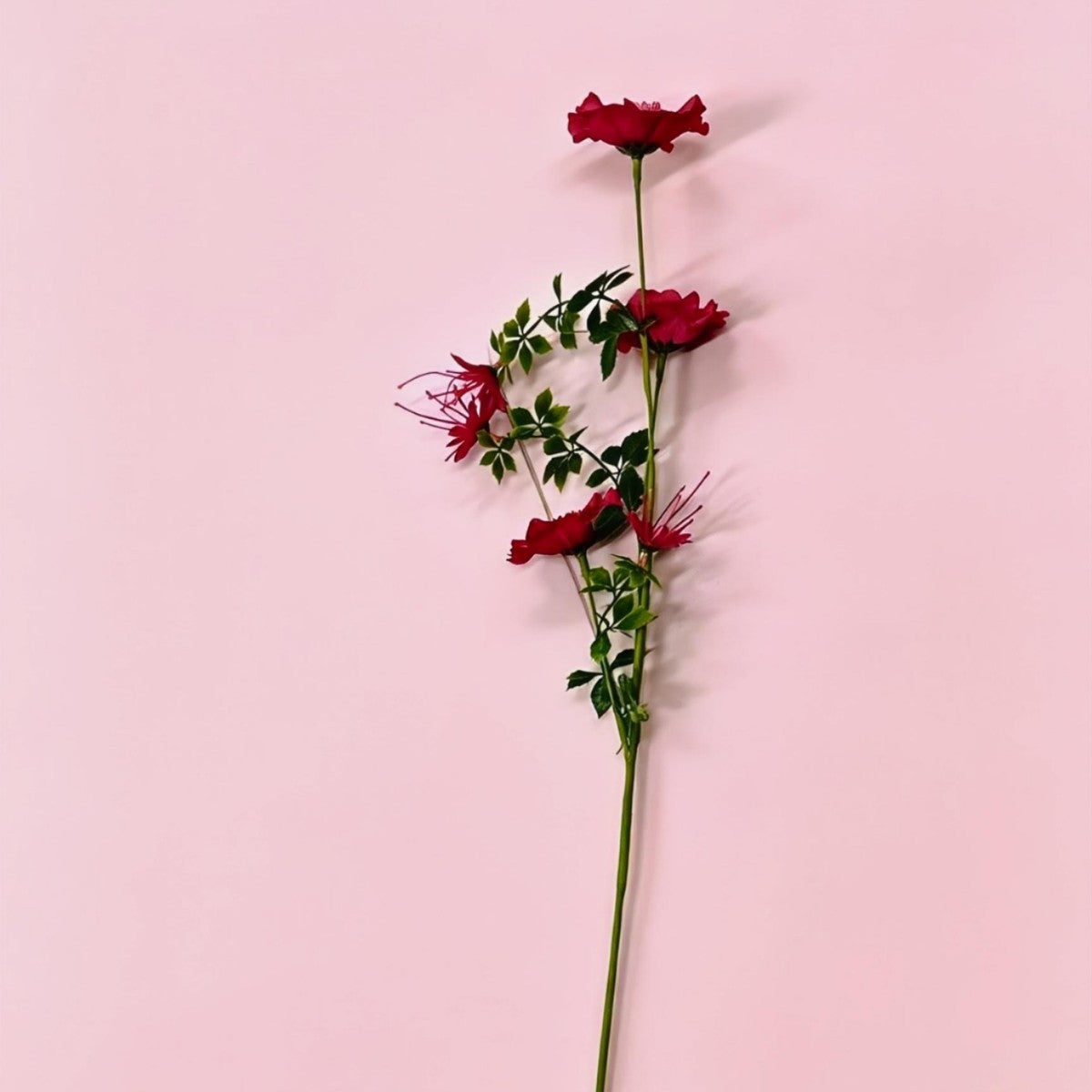 Künstliche Cosmos-Blumen, 1 Strauch mit 6 Blüten, 70 cm hoch, Seidenstoff, für Hochzeit, Dekoration, Gewerbe