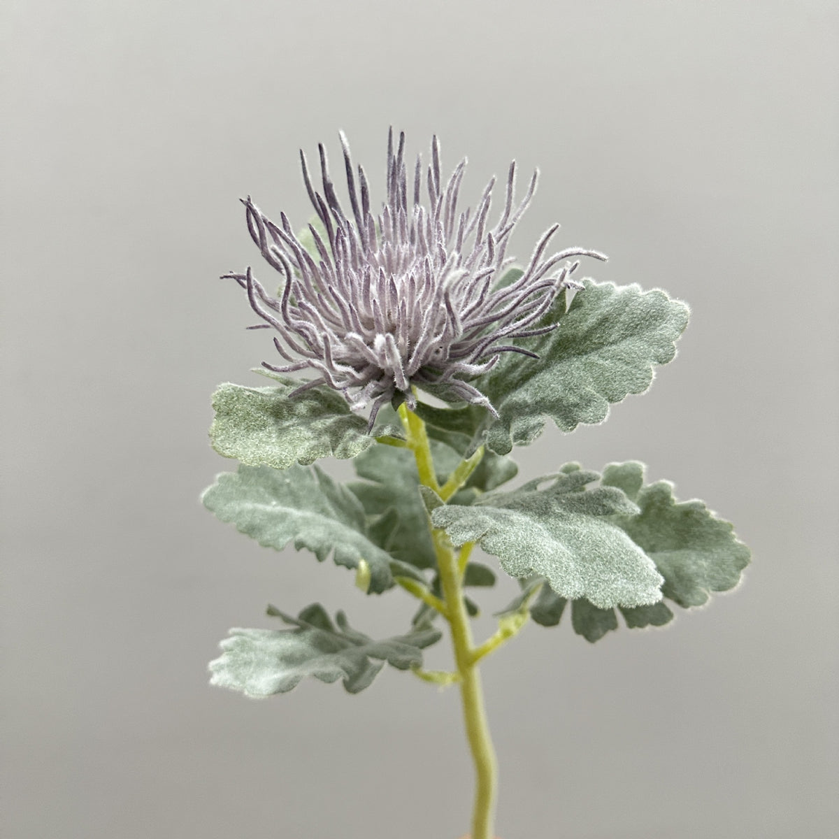 Künstliche Eryngium-Blume, 38 cm hohe Einzelstängel-Deko, Seidenstoff-Blüte für Hochzeiten, Büro und Zuhause