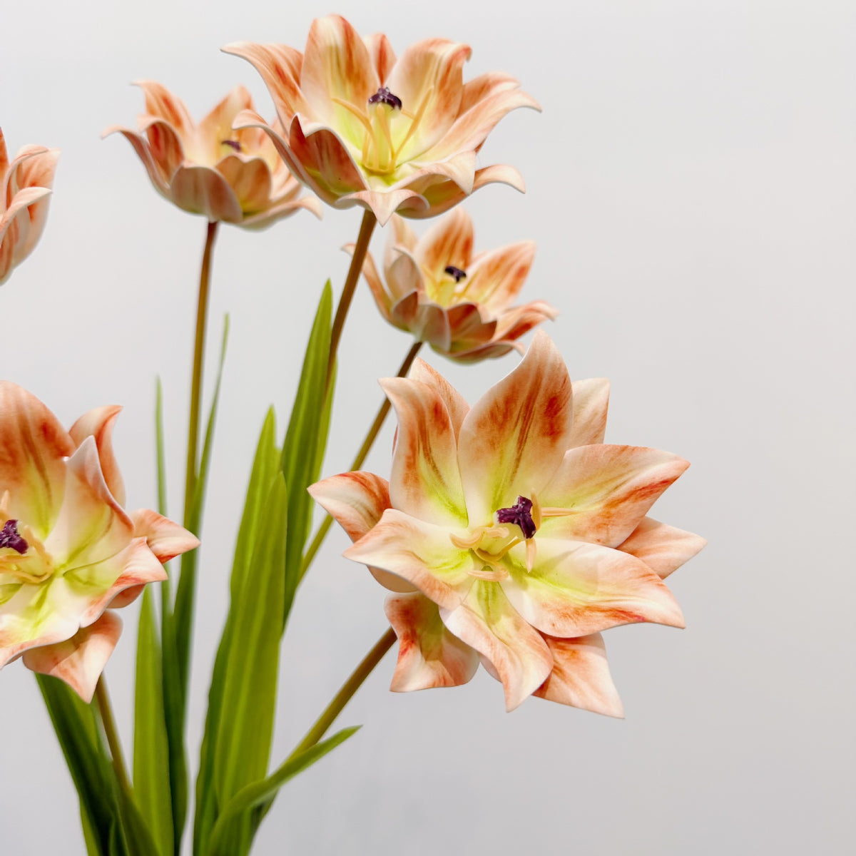 Künstliche Tulpe, einzelner Stängel mit 1 Blüte, 69 cm hoch, EVA-Material, für Hochzeiten, Wohnaccessoires und Gewerberäume