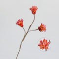 Künstliche Protea Blüte, einzelner Stiel mit 3 Blüten, 44 cm, getrocknete Blumen für rustikale und ländliche Dekoration