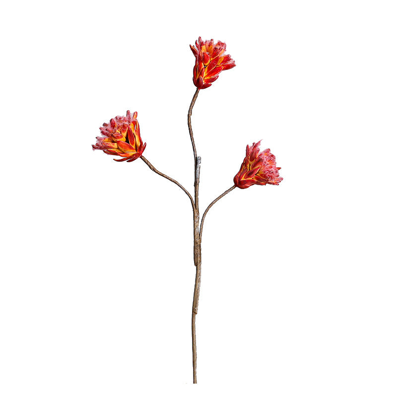 Künstliche Protea Blüte, einzelner Stiel mit 3 Blüten, 44 cm, getrocknete Blumen für rustikale und ländliche Dekoration