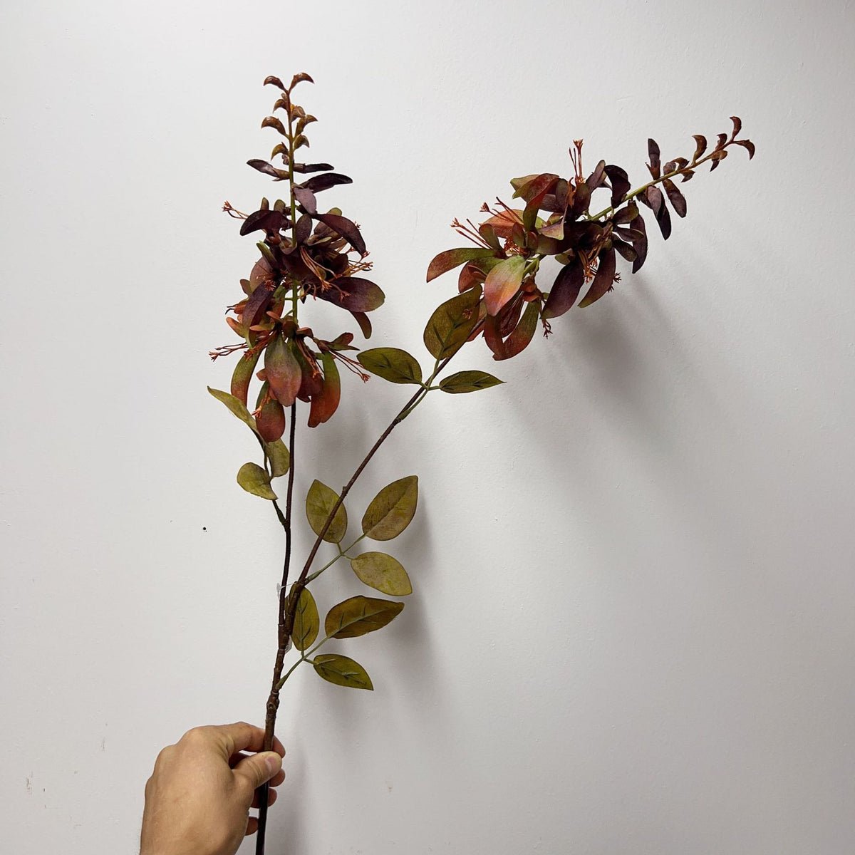 Künstlicher Erythrina-Blütenzweig mit Eukalyptus und Blättern, 83 cm, Einzelstiel aus Seidenstoff