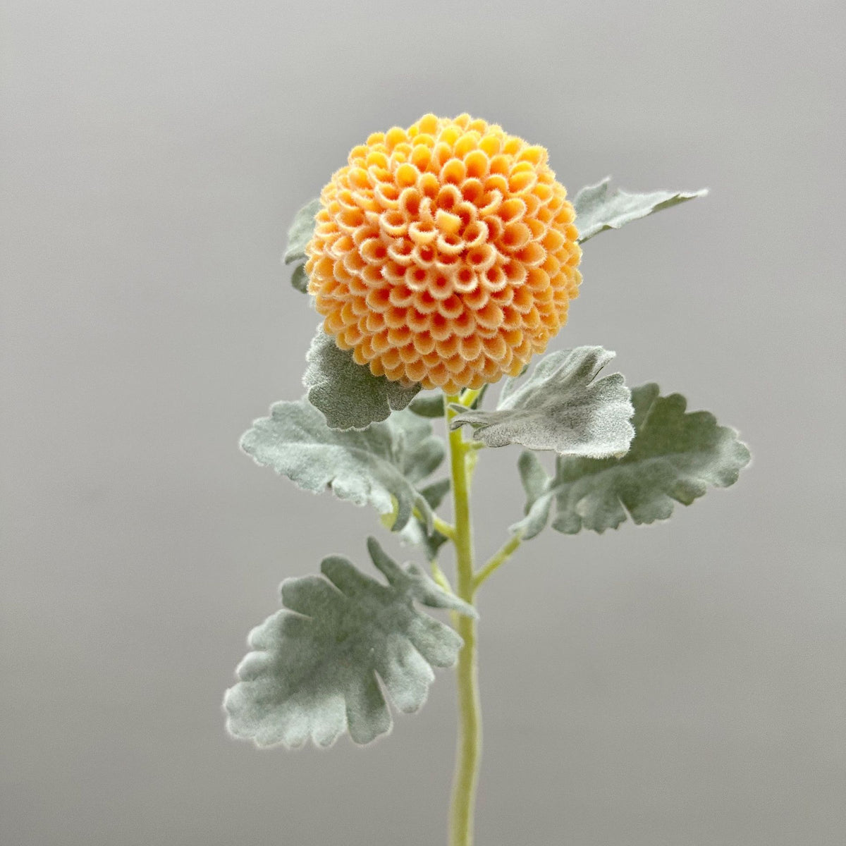 Künstliche Chrysantheme, Single-Stem mit 7 cm Blütenkopf, 37 cm hoch, Flockstoff, für Hochzeitsdekoration und Inneneinrichtung