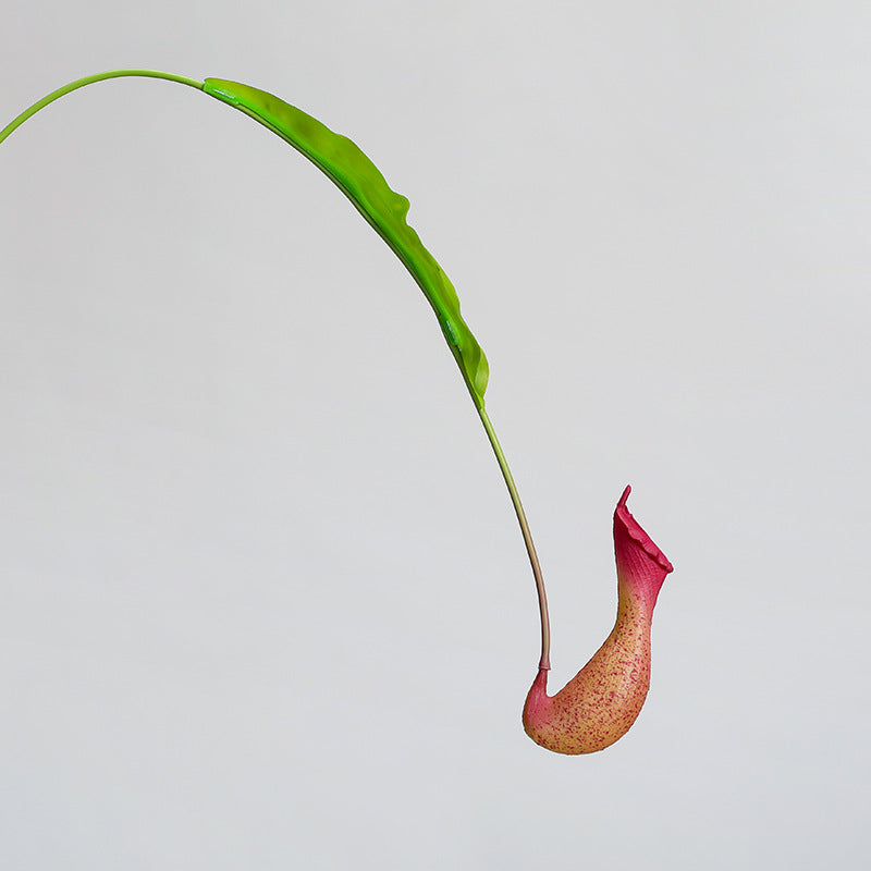 Künstliche Hängepflanze, Kannenpflanze (Nepenthes), 77 cm, PE/PVC, für Wohn- und Geschäftsräume