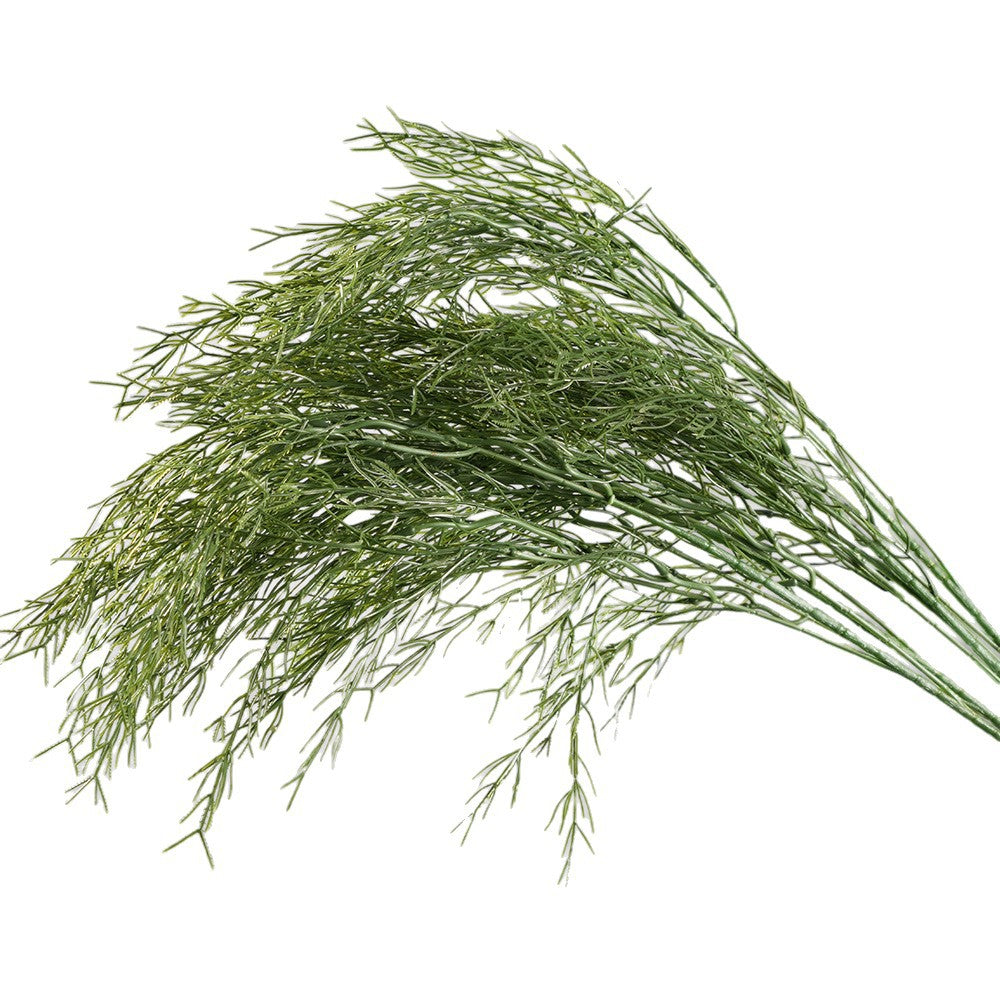 Künstliche Asparagus-Pflanze, 100 cm, PE/PVC, hellegrün, für Hochzeiten, Dekoration, Innenbereich