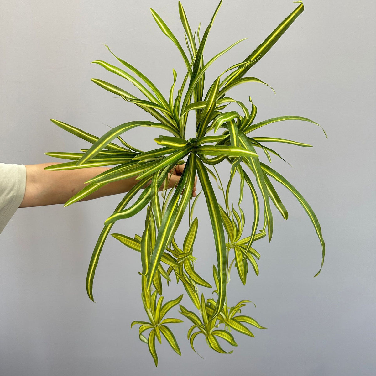Künstliche Hängepflanze, Grünlilie, 65 cm Höhe, 40 flexible Stiele, für Wohnung, Büro und Events