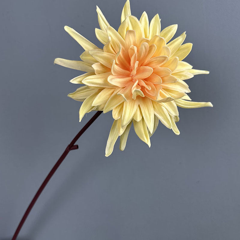 Künstliche Chrysantheme aus PU, einzelner Stiel mit 20 cm Blüte, 62 cm hoch, für Hochzeiten, Büro und Innendekoration