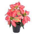 Künstliche Weihnachtsstern-Pflanze, 5 Blüten, 30 cm hoch, aus Kunststoff, für Innen- und Außendekoration